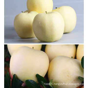 China Golden Delicious Fresh Red Apple